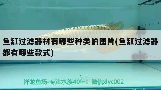 魚(yú)缸過(guò)濾器材有哪些種類的圖片(魚(yú)缸過(guò)濾器都有哪些款式)