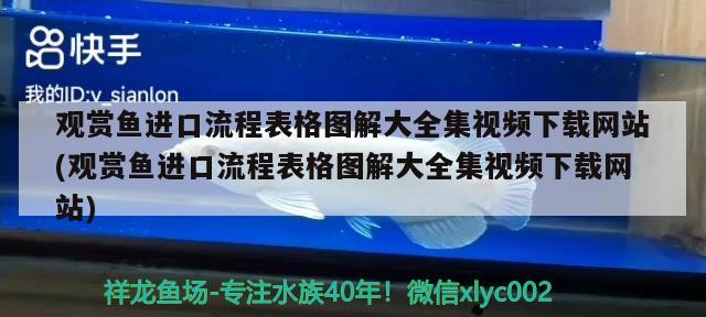 觀賞魚進口流程表格圖解大全集視頻下載網(wǎng)站(觀賞魚進口流程表格圖解大全集視頻下載網(wǎng)站) 觀賞魚進出口