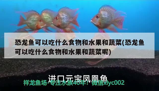 虹吸魚缸過濾效果好嗎：虹吸魚缸過濾器原理圖