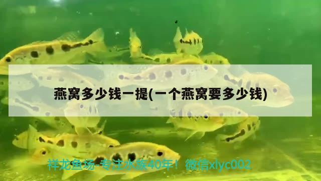 大慶哪里有專門賣魚缸的地方啊圖片大全大慶市馨寵寵物用品店，大慶哪有專門賣魚缸的地方啊