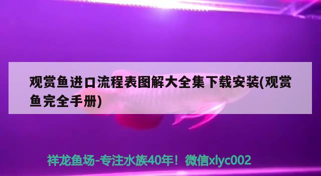 觀賞魚進口流程表圖解大全集下載安裝(觀賞魚完全手冊) 觀賞魚進出口