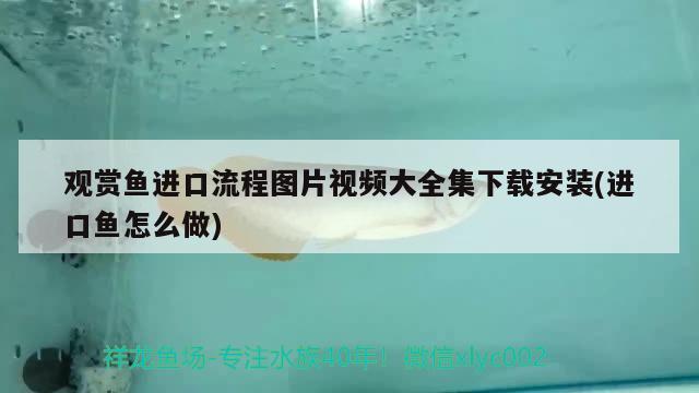 魚缸陽(yáng)光照不到魚怎么辦視頻：魚缸照射不到太陽(yáng)怎么辦