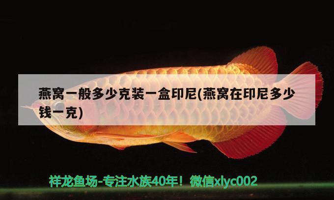 雷龍魚屬于冷水還是熱帶魚，巴卡雷龍魚養(yǎng)在冷水里面會死掉，雷龍魚好養(yǎng)嗎，