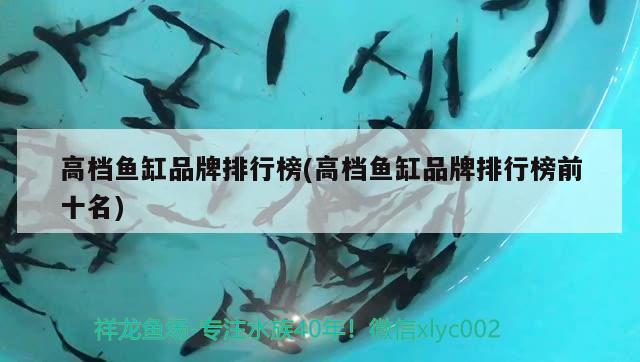 高檔魚缸品牌排行榜(高檔魚缸品牌排行榜前十名) 黃鰭鯧魚