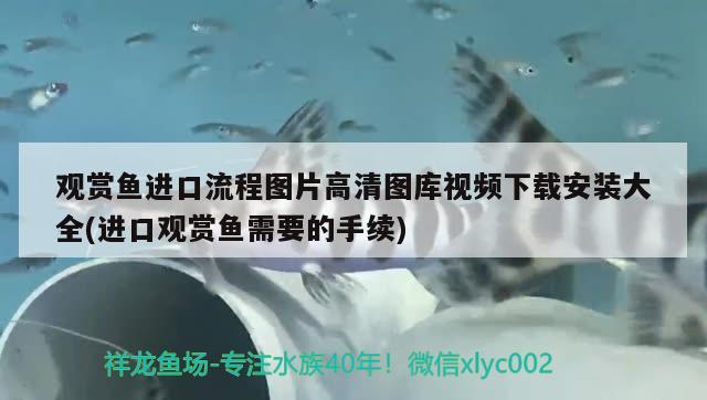 觀賞魚進口流程表格圖解視頻教程全集大全(觀賞魚進口流程表格圖解視頻教程全集大全)