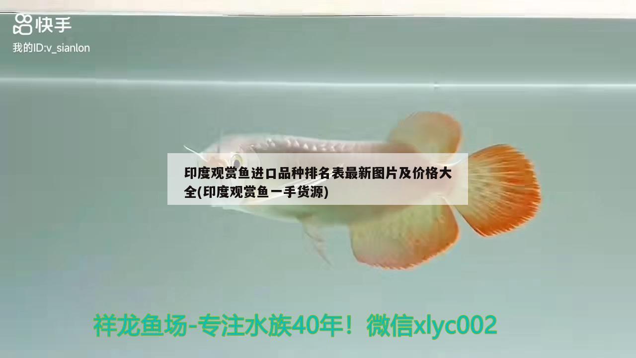 預(yù)防魚缸長褐藻病的方法，怎么預(yù)防魚缸長褐藻病