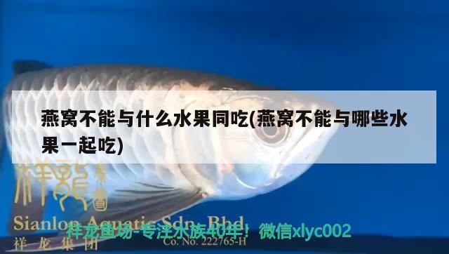 燕窩不能與什么水果同吃(燕窩不能與哪些水果一起吃) 馬來西亞燕窩