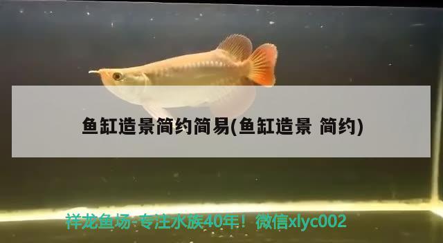 魚缸造景簡約簡易(魚缸造景簡約) iwish愛唯希品牌魚缸