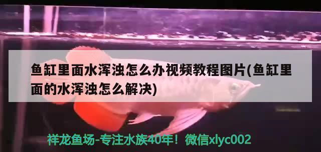 武漢魚缸定制在哪里找貨源啊電話及武漢魚缸定制的貨源渠道，武漢魚缸定制在哪里找貨源啊