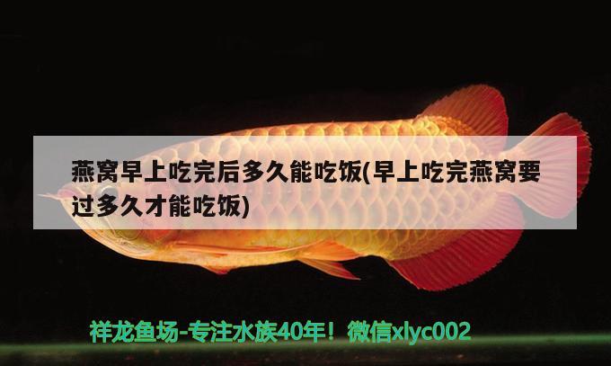 燕窩早上吃完后多久能吃飯(早上吃完燕窩要過多久才能吃飯) 馬來西亞燕窩