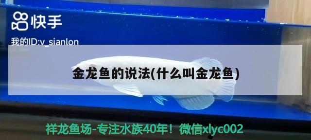 金龍魚(yú)的說(shuō)法(什么叫金龍魚(yú)) 照明器材