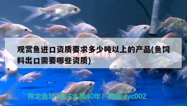 觀賞魚(yú)進(jìn)口資質(zhì)要求多少噸以上的產(chǎn)品(魚(yú)飼料出口需要哪些資質(zhì)) 觀賞魚(yú)進(jìn)出口