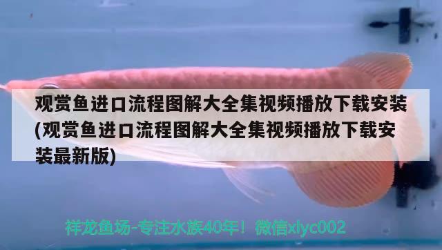 觀賞魚進口流程圖解大全集視頻播放下載安裝(觀賞魚進口流程圖解大全集視頻播放下載安裝最新版) 觀賞魚進出口