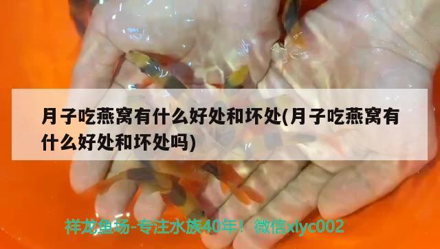 昆明市盤龍區(qū)恒通水族店