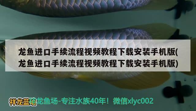 說說“東風(fēng)不與周郎便,銅雀春深鎖二喬”的深刻含義，銅雀春深鎖二喬的典故是什么 觀賞魚 第3張