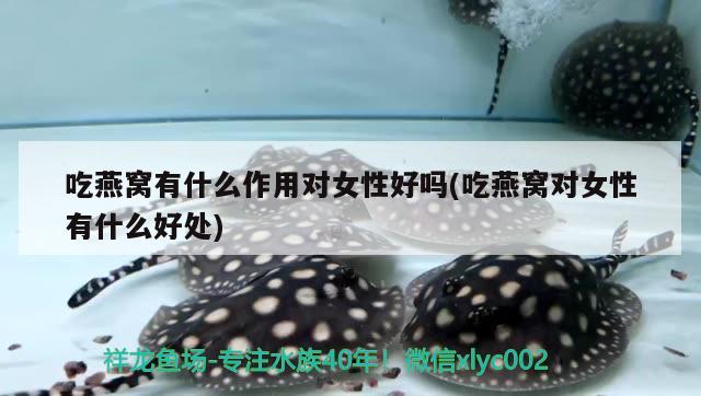 內江水族批發(fā)市場的聯(lián)系方式和服務摘要：內江水族批發(fā)市場的聯(lián)系，內江水族批發(fā)市場的介紹