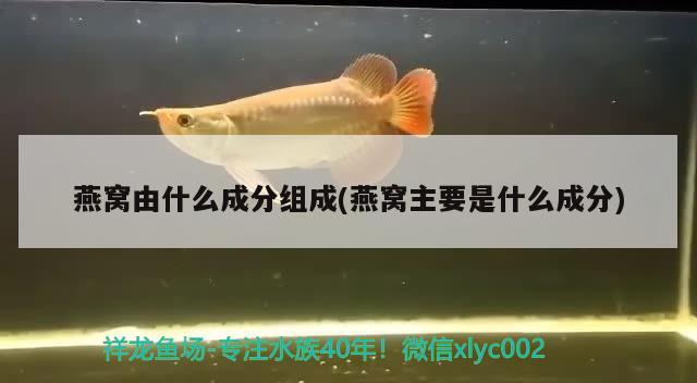 燕窩由什么成分組成(燕窩主要是什么成分) 馬來西亞燕窩