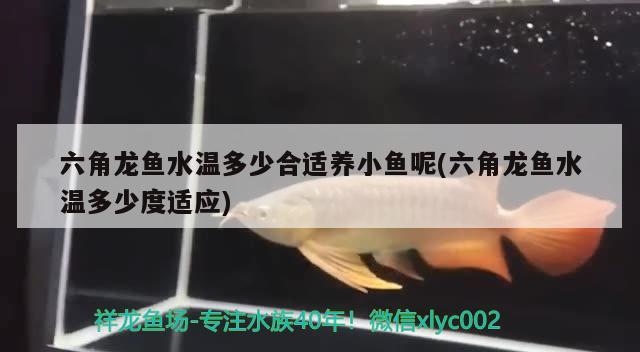 煙臺魚缸上門安裝服務公司有哪些地方的(煙臺哪里有做魚缸的) 黃金眼鏡蛇雷龍魚 第1張