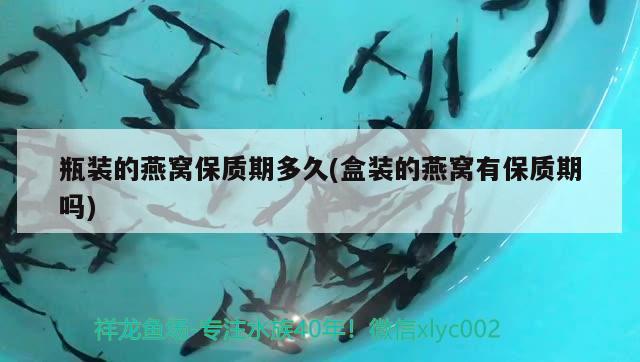 十種常見的海鮮魚，比目魚嘴解釋