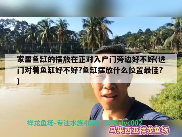 魚缸過濾器怎么使用怎么使用魚缸過濾器，魚缸過濾器、微量元素、脫色、除異味