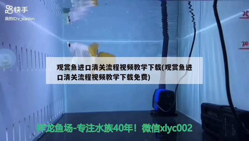 魚缸過濾器怎么使用怎么使用魚缸過濾器，魚缸過濾器、微量元素、脫色、除異味