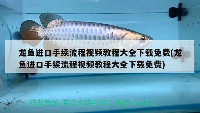 龍魚進(jìn)口手續(xù)流程視頻教程大全下載免費(fèi)(龍魚進(jìn)口手續(xù)流程視頻教程大全下載免費(fèi)) 觀賞魚進(jìn)出口