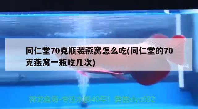 同仁堂70克瓶裝燕窩怎么吃(同仁堂的70克燕窩一瓶吃幾次) 馬來西亞燕窩