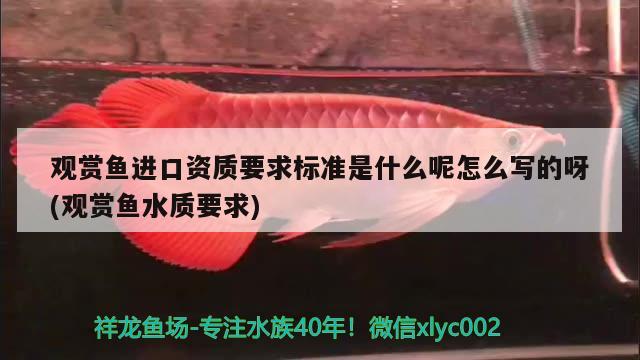 觀(guān)賞魚(yú)進(jìn)口資質(zhì)要求標(biāo)準(zhǔn)是什么呢怎么寫(xiě)的呀(觀(guān)賞魚(yú)水質(zhì)要求) 觀(guān)賞魚(yú)進(jìn)出口 第3張