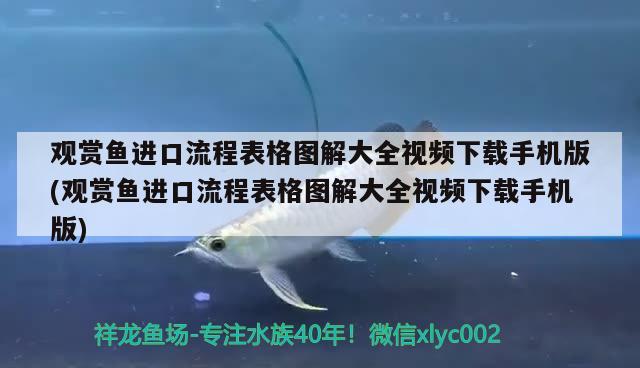 觀賞魚進口流程表格圖解大全視頻下載手機版(觀賞魚進口流程表格圖解大全視頻下載手機版)