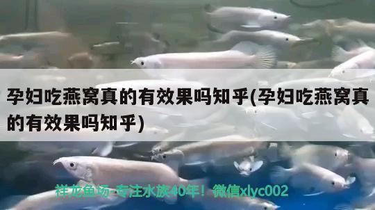 什么紅龍魚發(fā)色好看又便宜 什么紅龍魚發(fā)色好看又便宜呢