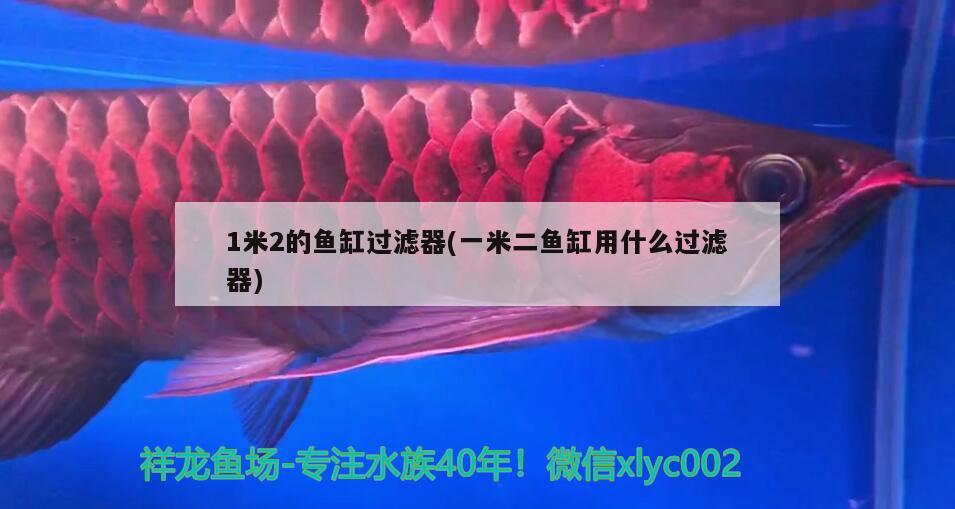 1米2的魚缸過濾器(一米二魚缸用什么過濾器)