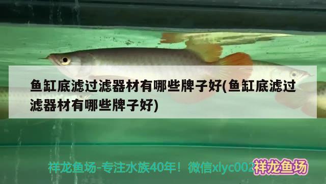 魚缸底濾過(guò)濾器材有哪些牌子好(魚缸底濾過(guò)濾器材有哪些牌子好) 廣州觀賞魚批發(fā)市場(chǎng)