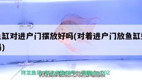 魚缸對進(jìn)戶門擺放好嗎(對著進(jìn)戶門放魚缸好嗎) 黑云魚