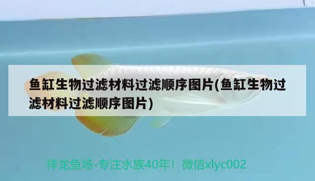 魚(yú)缸生物過(guò)濾材料過(guò)濾順序圖片(魚(yú)缸生物過(guò)濾材料過(guò)濾順序圖片) 羅漢魚(yú)