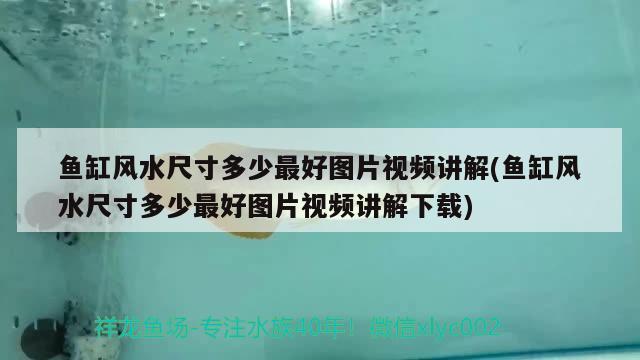 魚缸風(fēng)水尺寸多少最好圖片視頻講解(魚缸風(fēng)水尺寸多少最好圖片視頻講解下載) 魚缸風(fēng)水