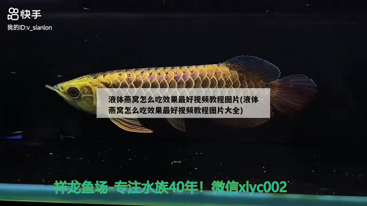 十大魚缸品牌排行榜及價格（十大魚缸品牌排行榜及價格表） 粗線銀版魚苗 第4張