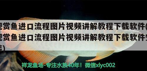 觀賞魚進口流程圖片視頻講解教程下載軟件(觀賞魚進口流程圖片視頻講解教程下載軟件安裝) 觀賞魚進出口