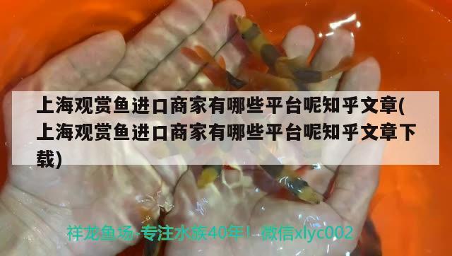 紅龍魚和虎魚混養(yǎng)會(huì)打架嗎：紅龍和虎魚混養(yǎng)視頻 虎魚百科 第1張