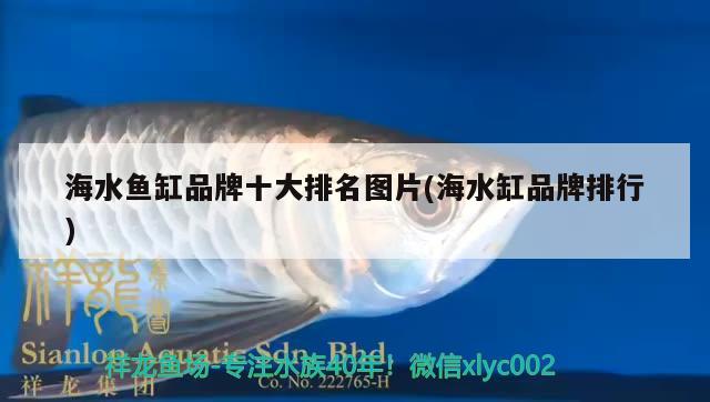 海水魚缸品牌十大排名圖片(海水缸品牌排行)