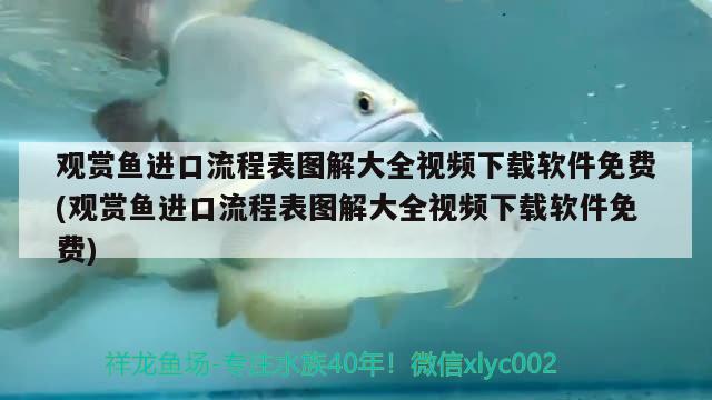 觀賞魚(yú)進(jìn)口流程表圖解大全視頻下載軟件免費(fèi)(觀賞魚(yú)進(jìn)口流程表圖解大全視頻下載軟件免費(fèi))