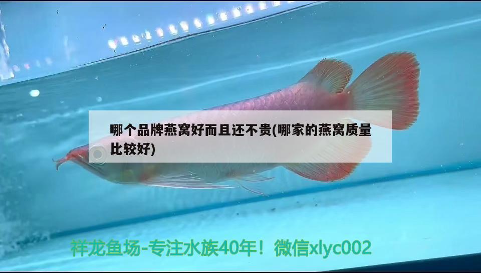 六角恐龍魚冬季都不吃食的嗎：六角恐龍魚天冷不吃東西