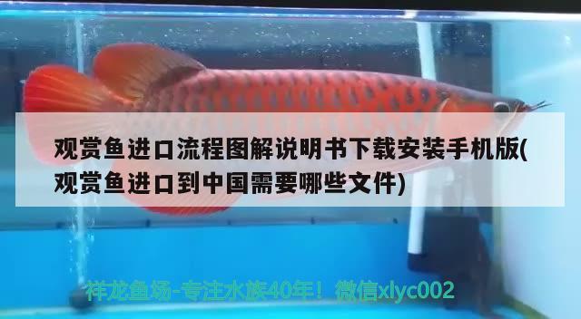 觀賞魚進口流程圖解說明書下載安裝手機版(觀賞魚進口到中國需要哪些文件)