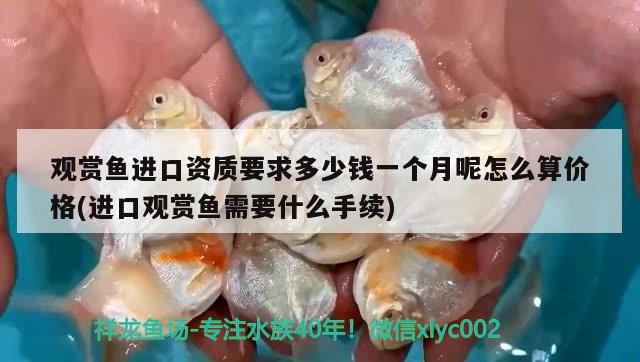 武威買魚缸的地方有哪些武威賣魚缸的地方有哪些，武威買魚缸地方推薦 祥龍龍魚專用水族燈 第3張