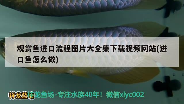 英雄無敵3各級最強兵種怎么排名，超獸武裝里泰戈機甲名字