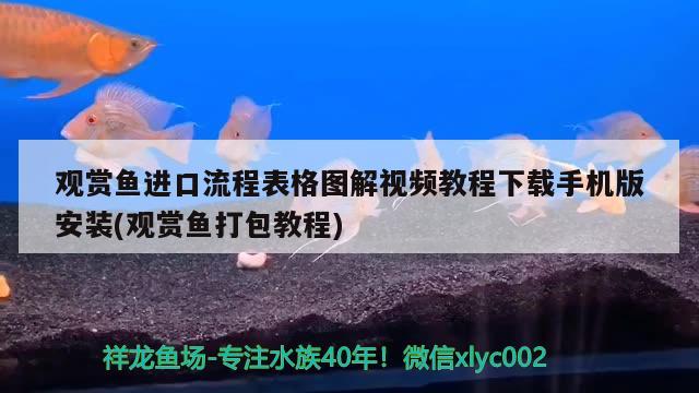 觀賞魚(yú)進(jìn)口流程表格圖解視頻教程下載手機(jī)版安裝(觀賞魚(yú)打包教程) 觀賞魚(yú)進(jìn)出口