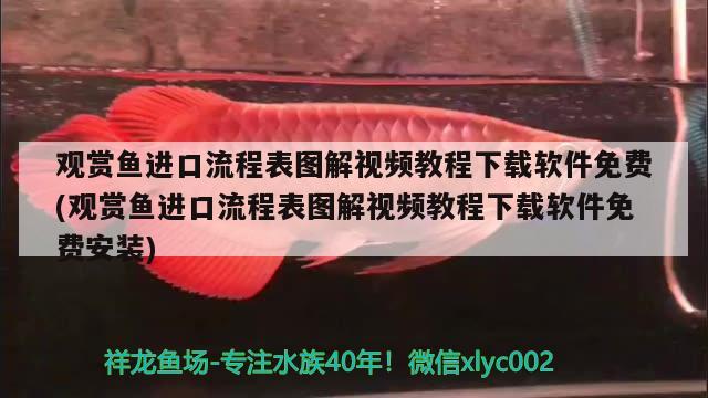 觀賞魚進口流程表圖解視頻教程下載軟件免費(觀賞魚進口流程表圖解視頻教程下載軟件免費安裝) 觀賞魚進出口