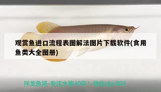 魚缸燈防水嗎？了解魚缸燈的防水性能使用注意事項(xiàng)，了解魚缸燈的防水性能及使用注意事項(xiàng)