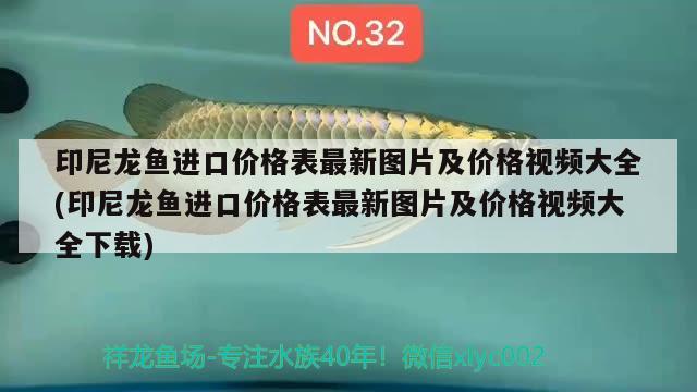 怎樣制作太陽(yáng)能加熱水的裝置，怎么用阿莫西林治魚病呢