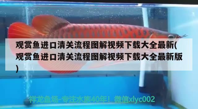 觀賞魚進口清關(guān)流程圖解視頻下載大全最新(觀賞魚進口清關(guān)流程圖解視頻下載大全最新版) 觀賞魚進出口