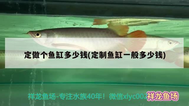 定做個魚缸多少錢(定制魚缸一般多少錢) 白子銀版魚苗